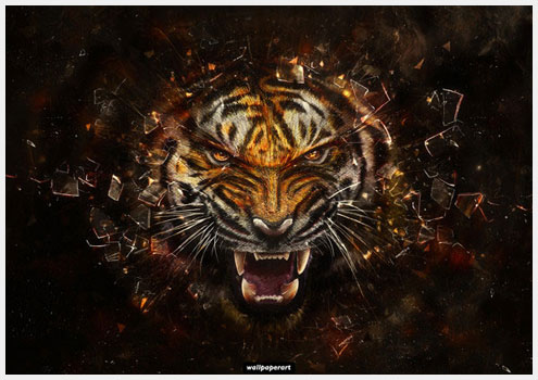 Photoshop˵Ĵ