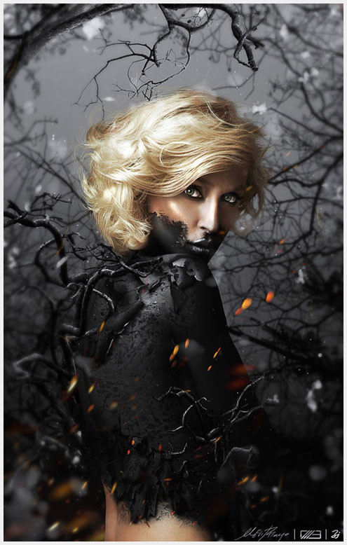 Photoshop˵Ĵ
